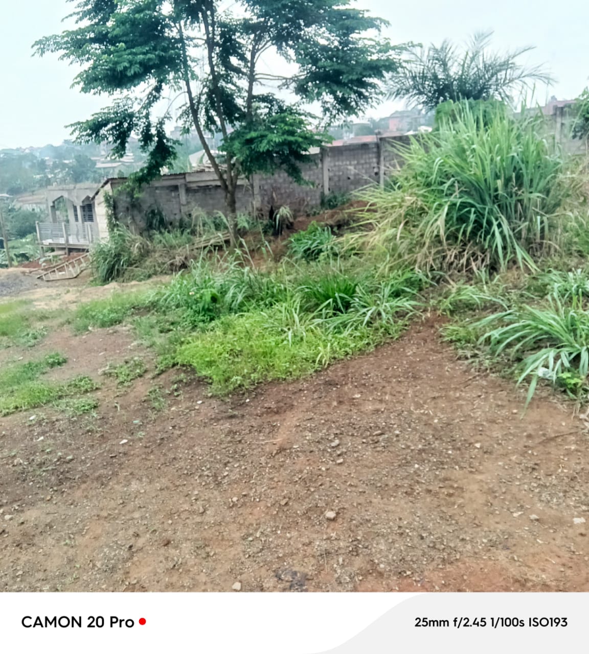 Photo du terrain