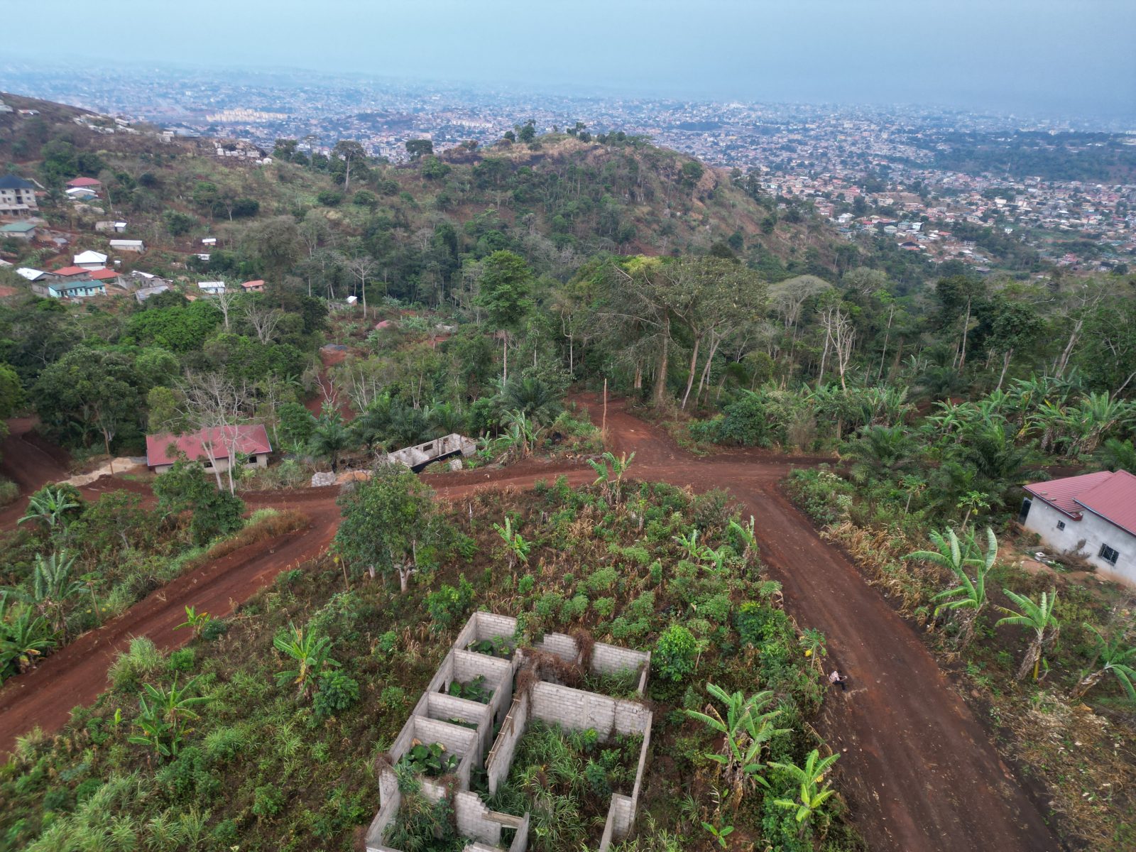 Photo du terrain