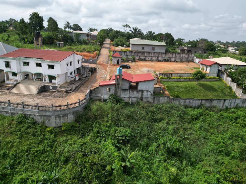 Photo du terrain