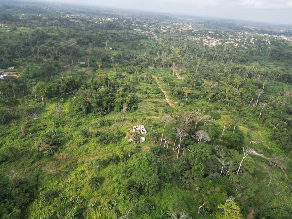 Photo du terrain