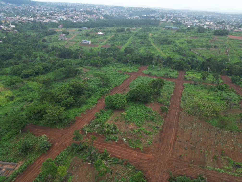 Photo du terrain