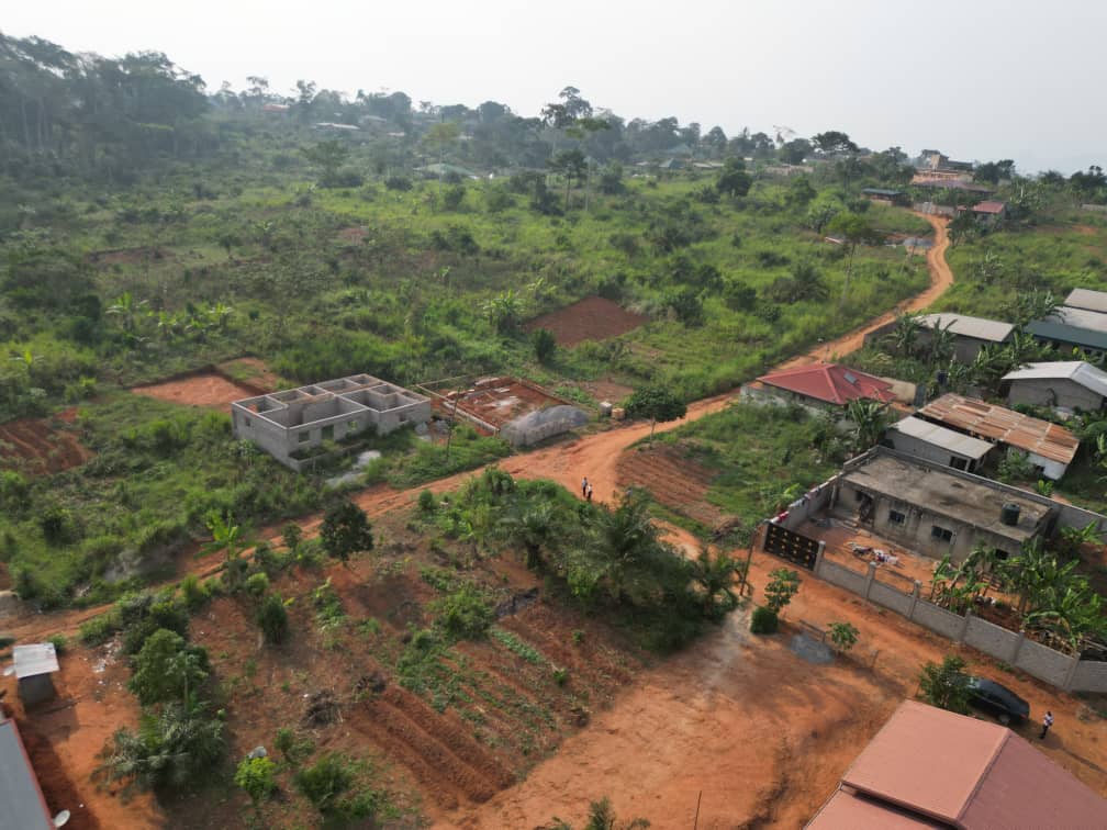 Photo du terrain