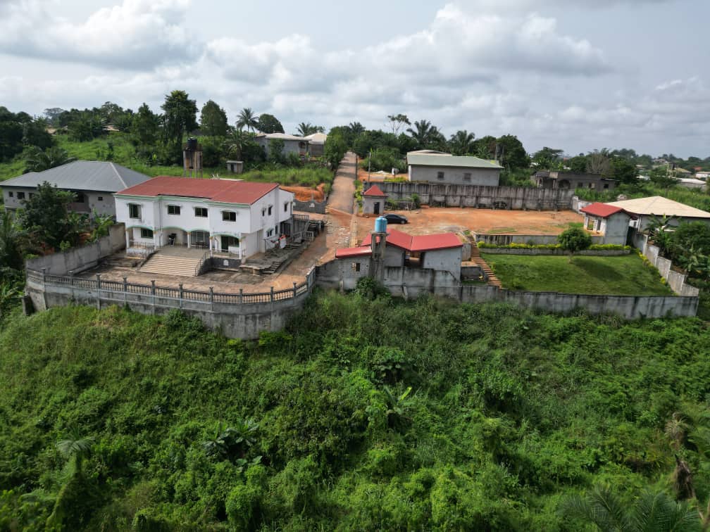 Photo du terrain