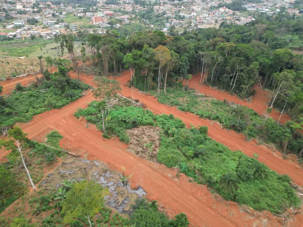 Photo du terrain