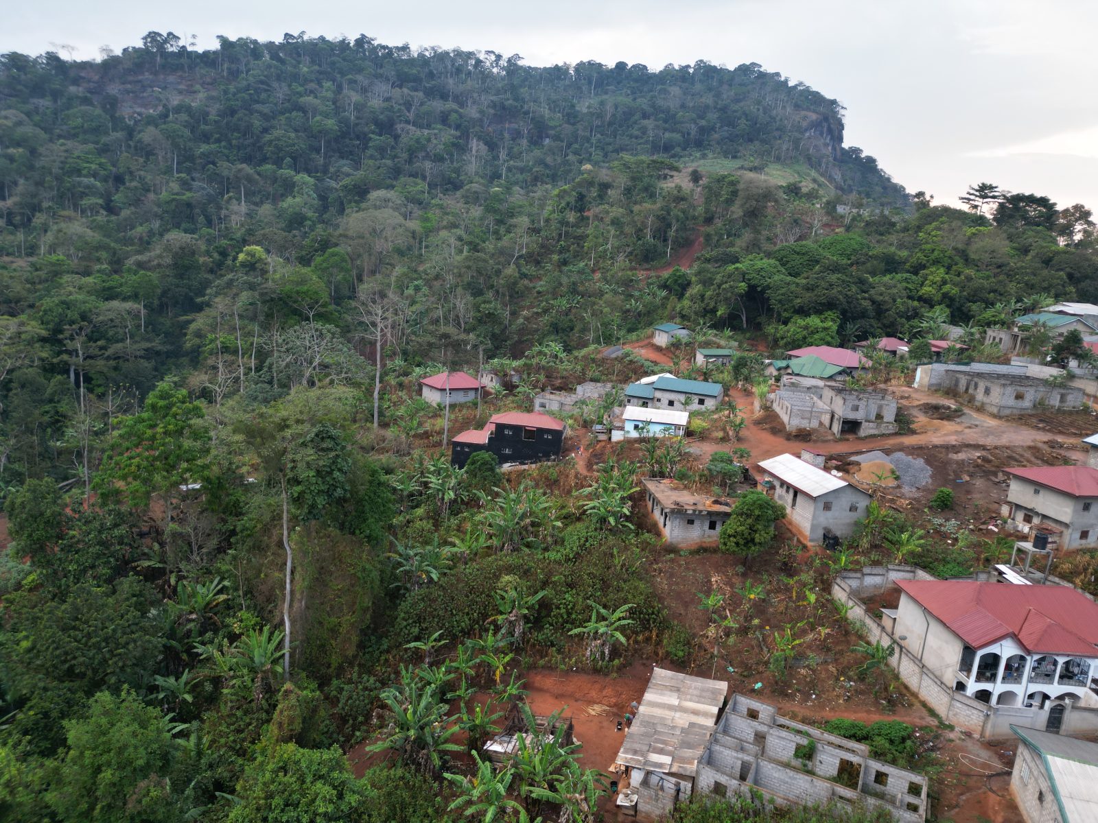Photo du terrain