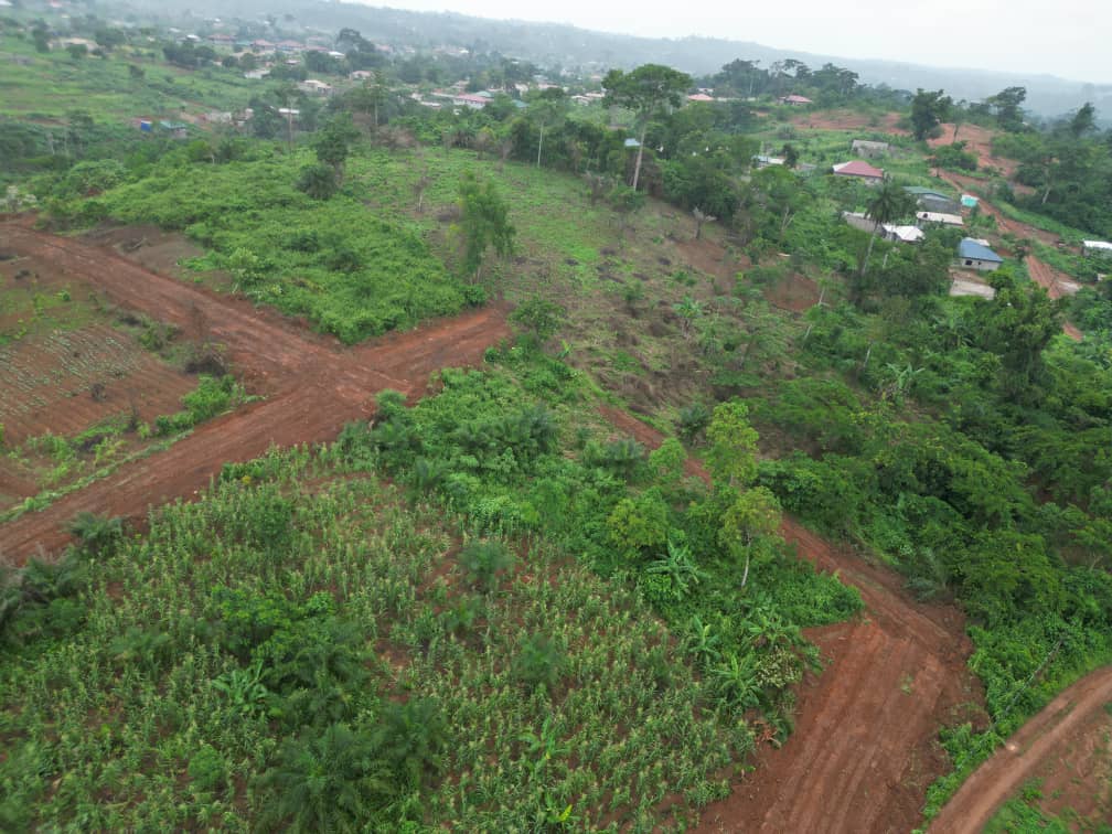 Photo du terrain