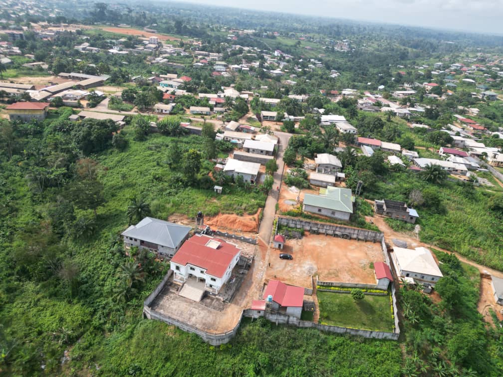 Photo du terrain