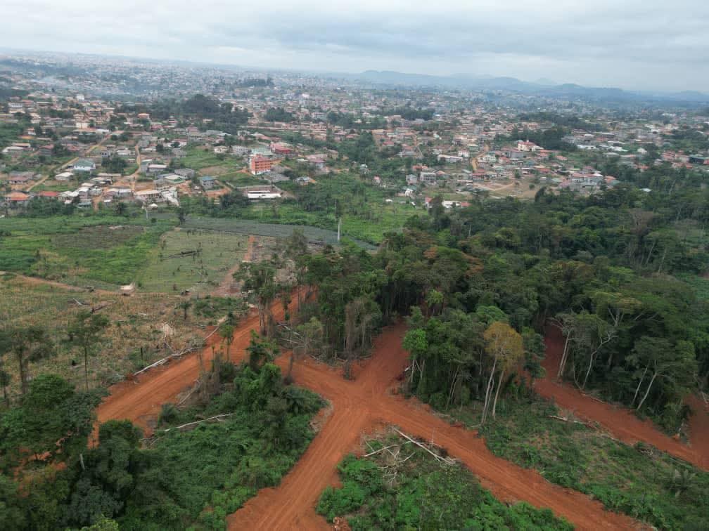 Photo du terrain
