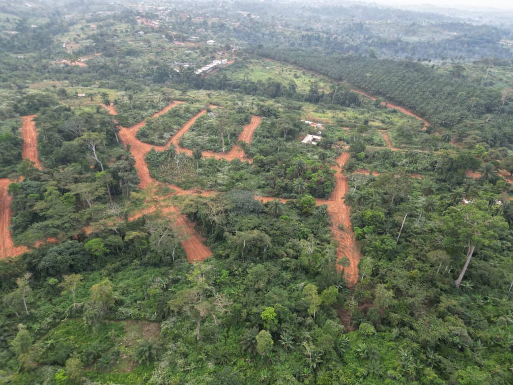 Photo du terrain