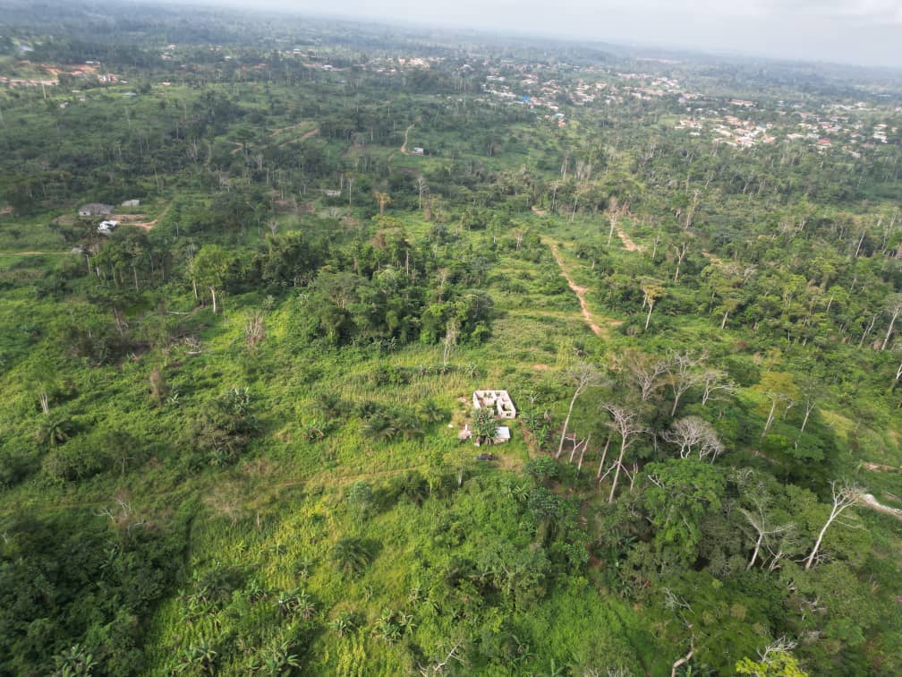 Photo du terrain