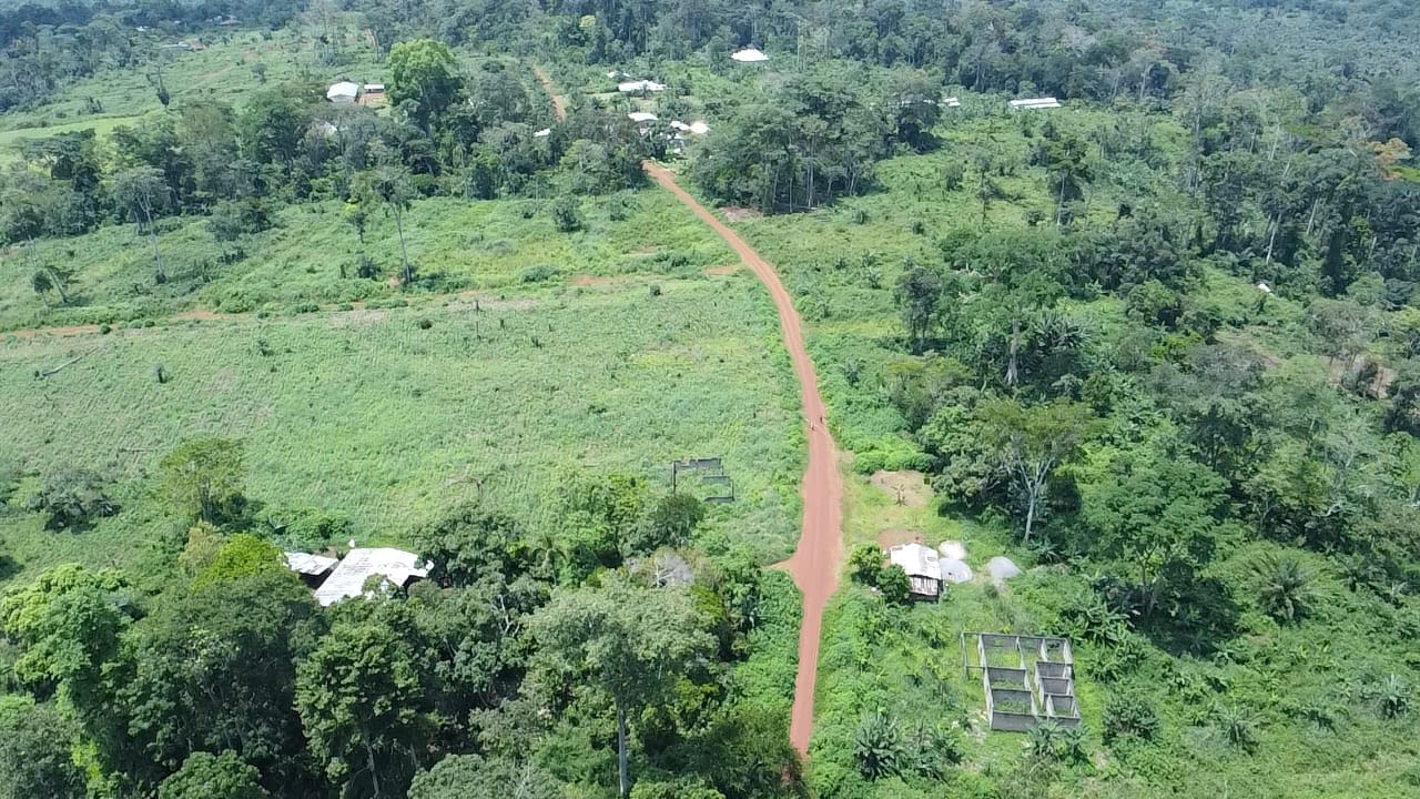 Photo du terrain