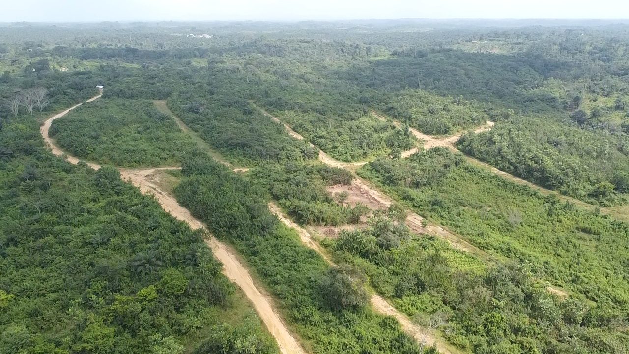 Photo du terrain