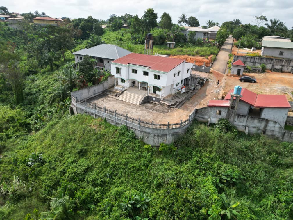 Photo du terrain