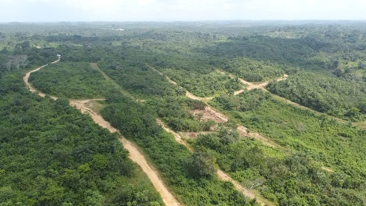 Photo du terrain
