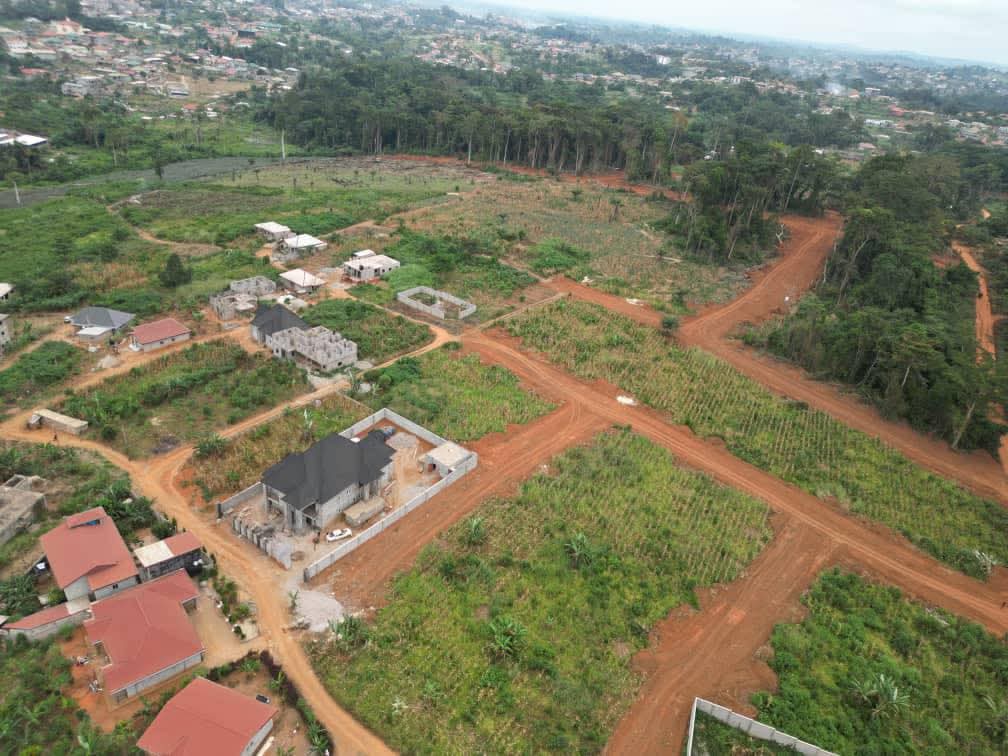 Photo du terrain