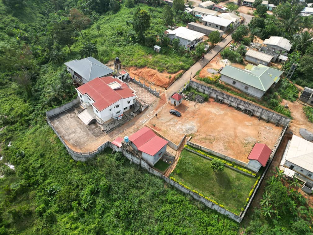 Photo du terrain