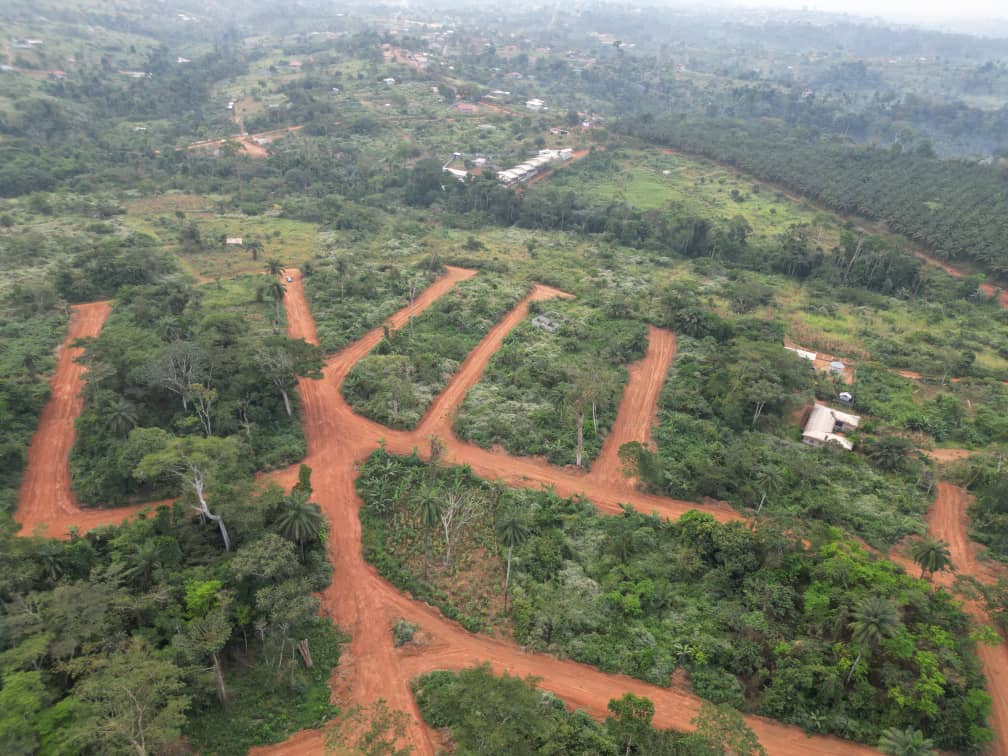 Photo du terrain