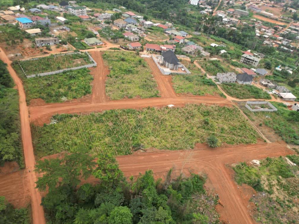 Photo du terrain