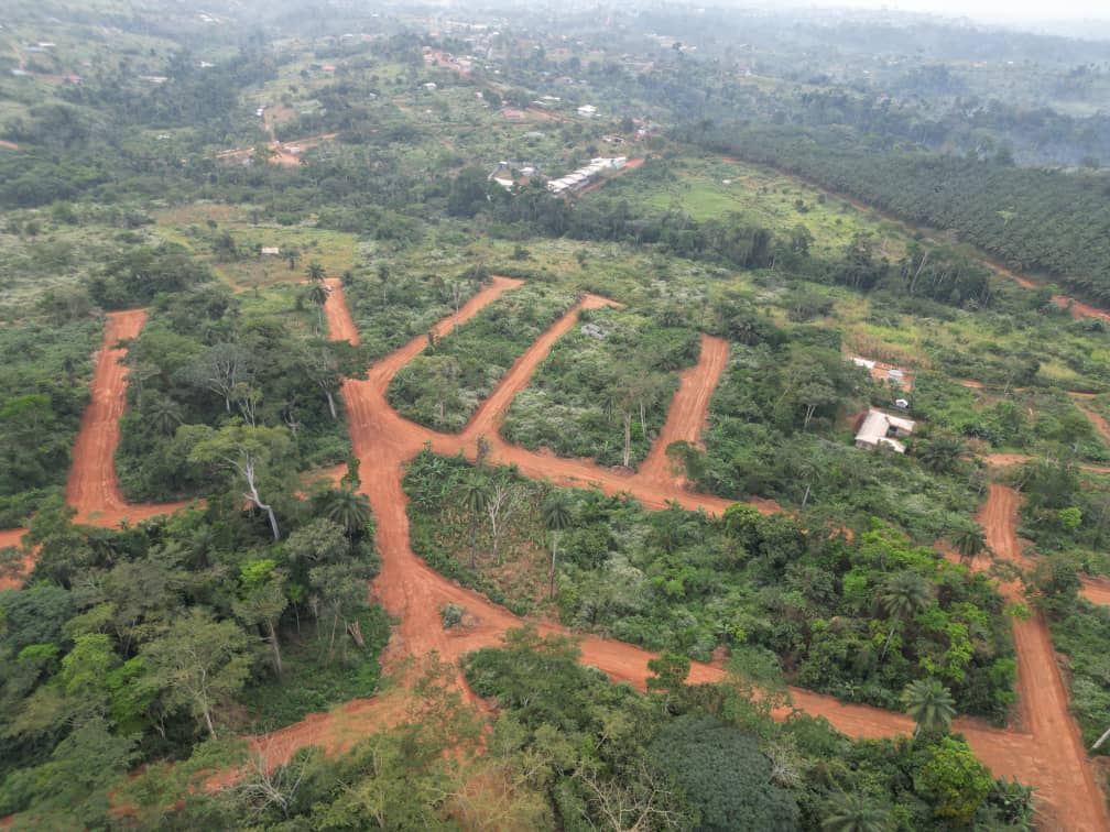 Photo du terrain