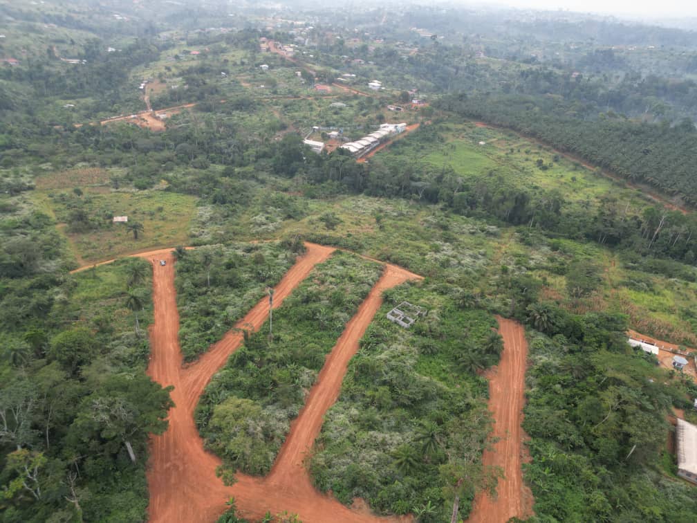 Photo du terrain