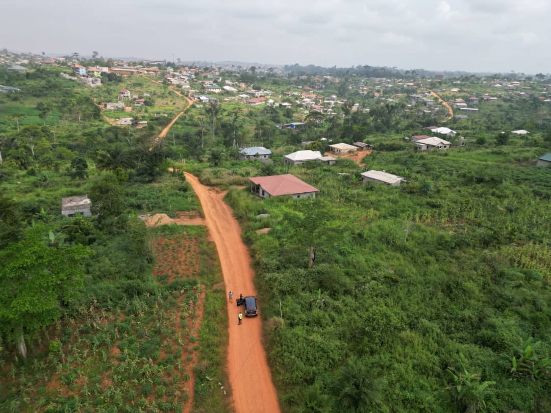 Photo du terrain