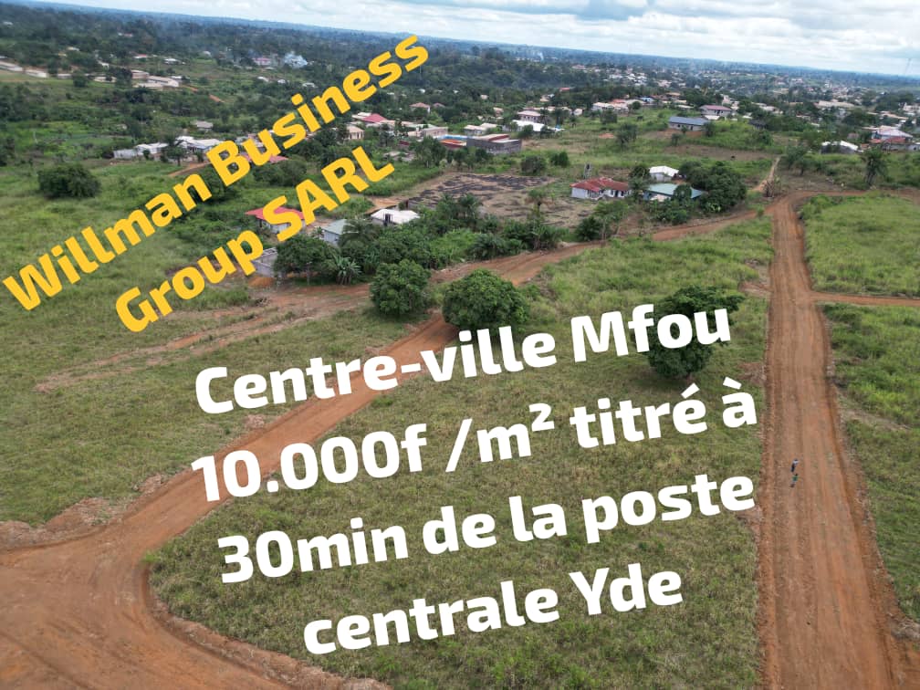 Photo du terrain