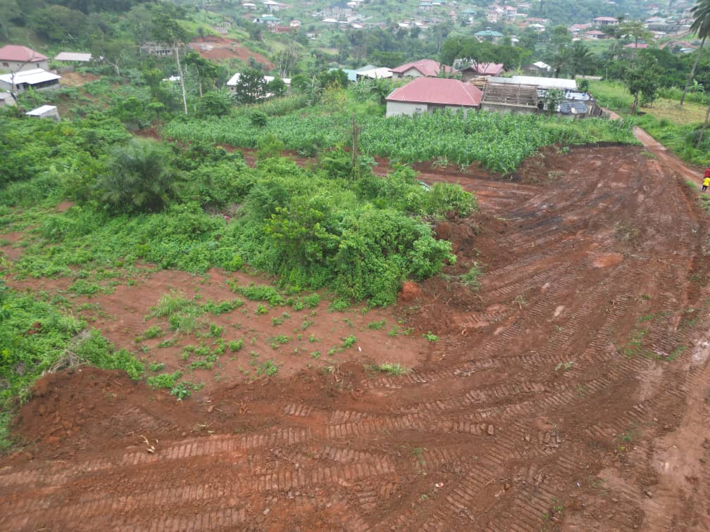 Photo du terrain