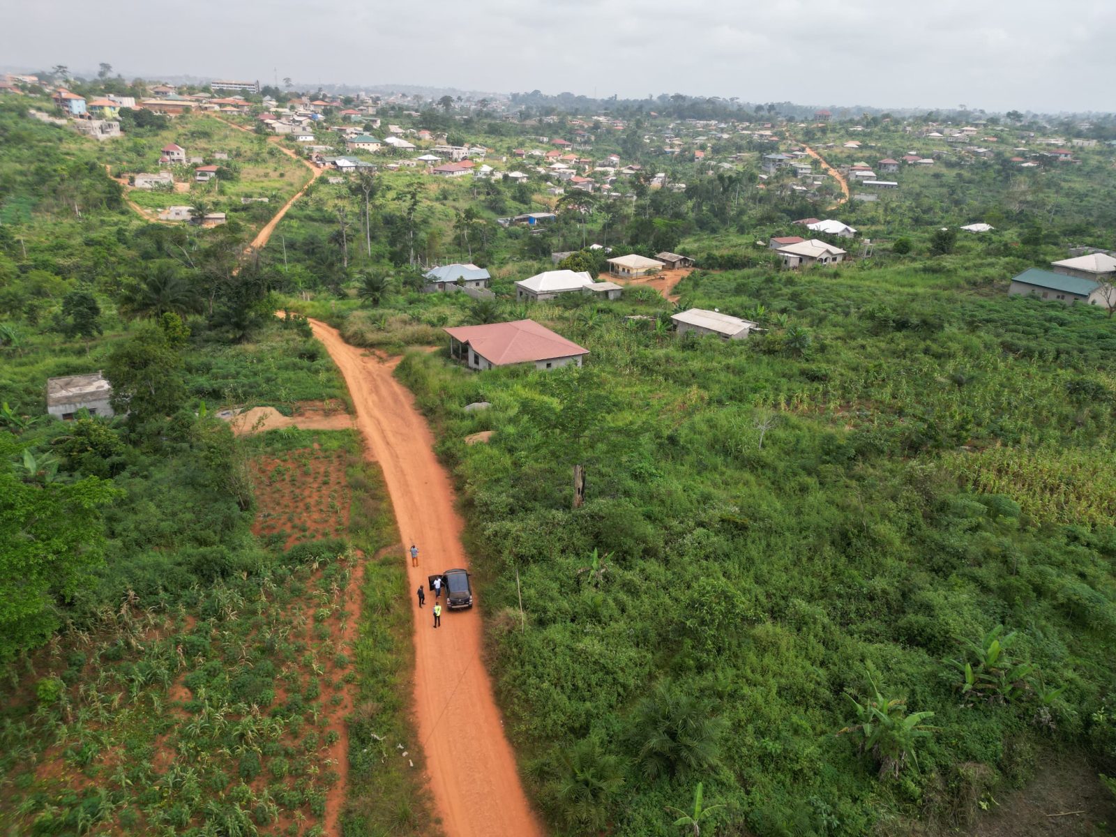 Photo du terrain