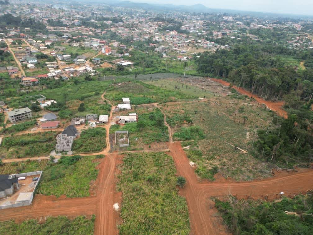 Photo du terrain