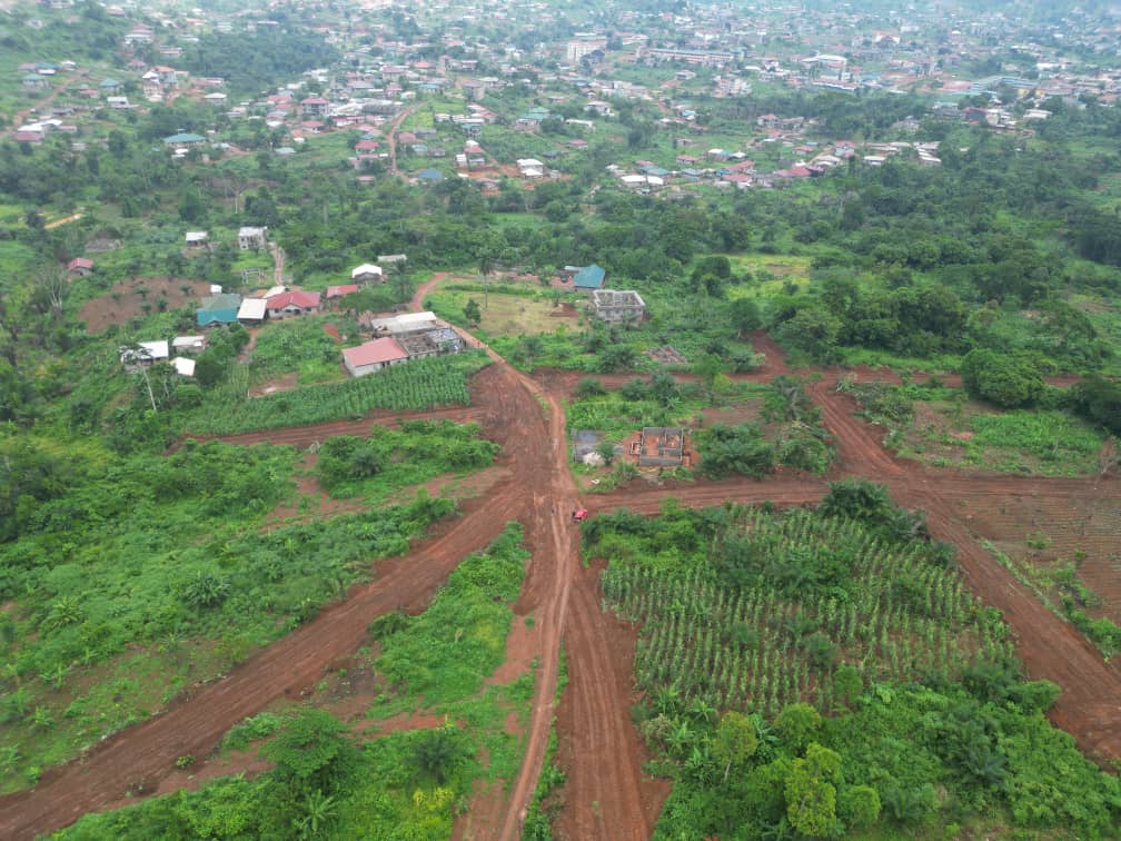 Photo du terrain