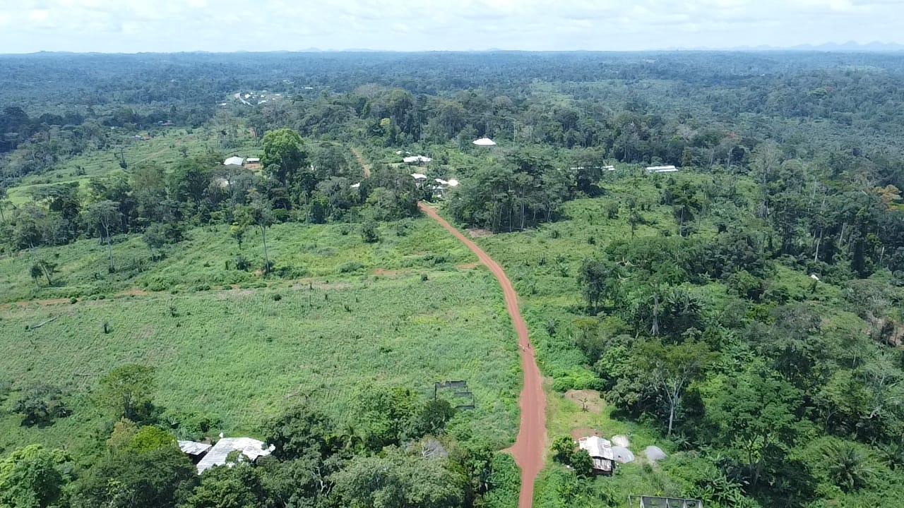 Photo du terrain