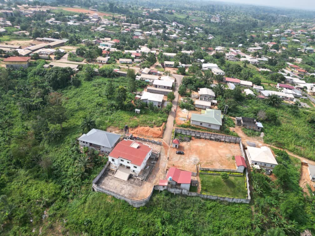 Photo du terrain