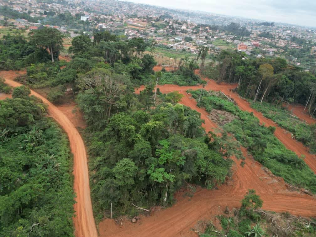 Photo du terrain