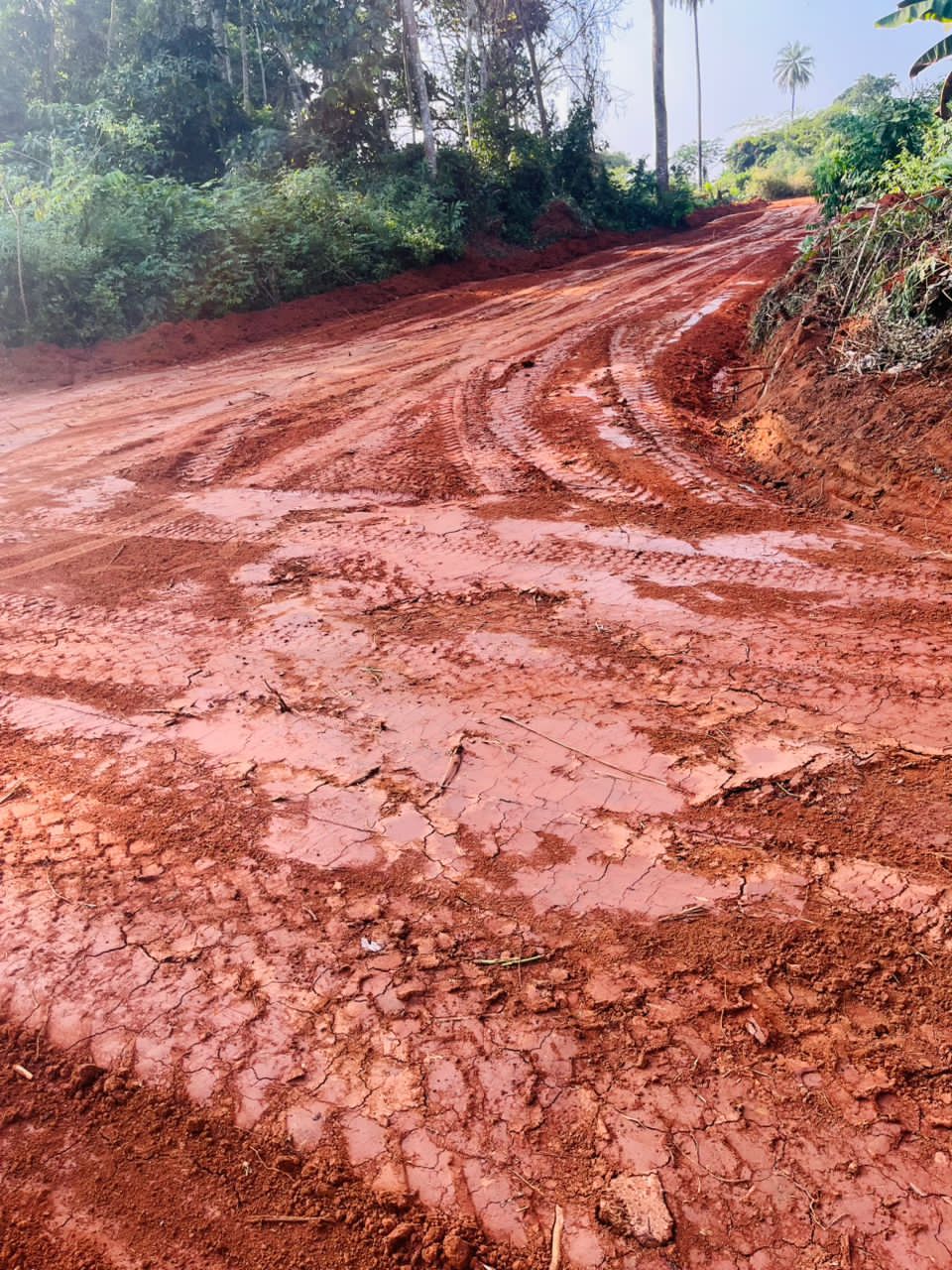 Photo du terrain