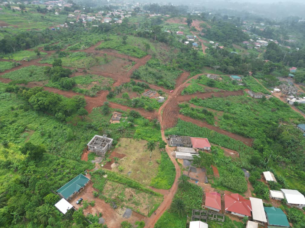 Photo du terrain