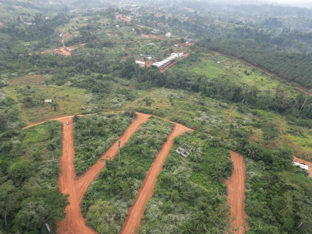 Photo du terrain
