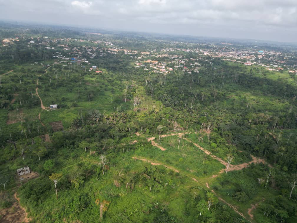 Photo du terrain