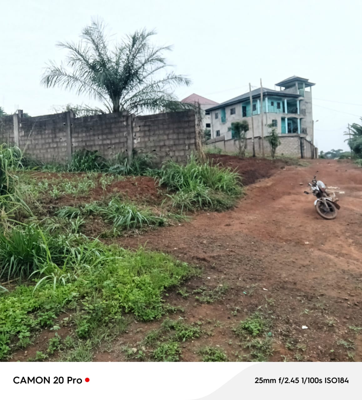 Photo du terrain