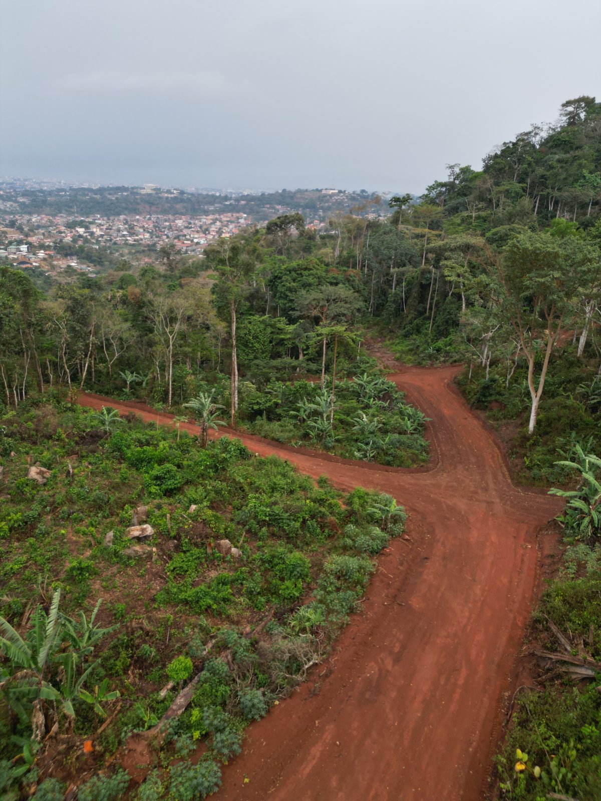 Photo du terrain