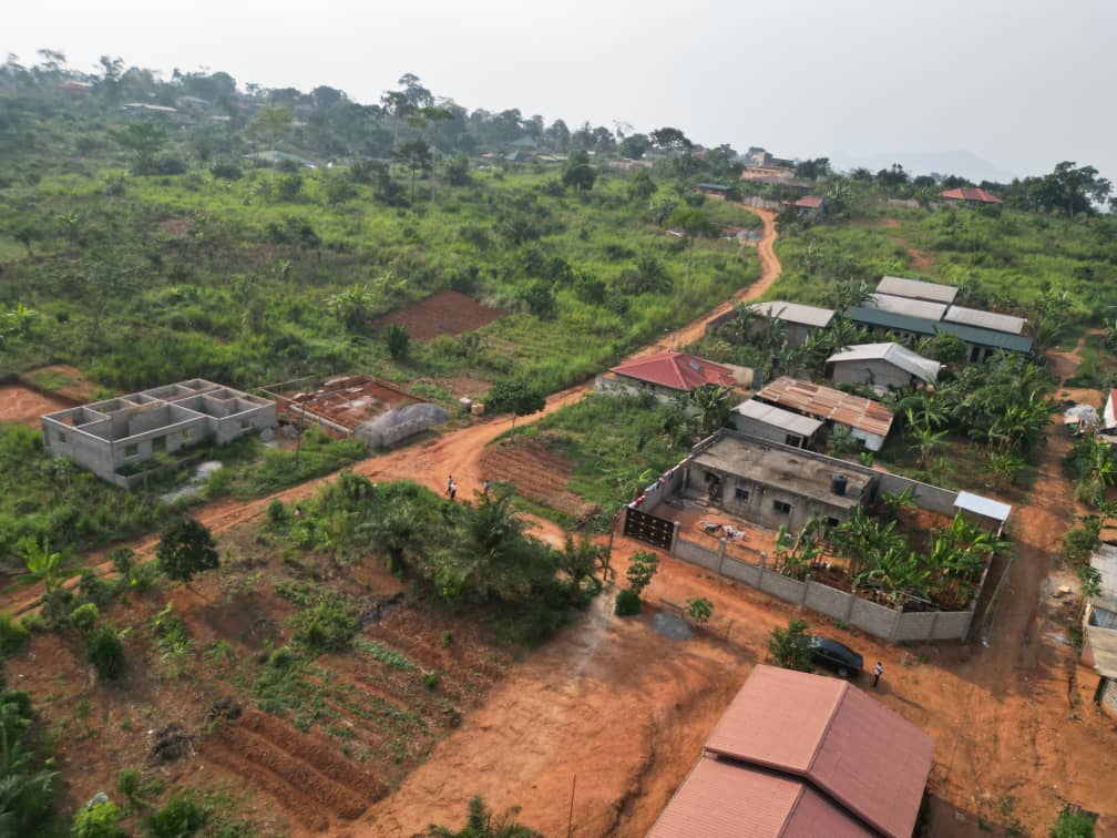 Photo du terrain