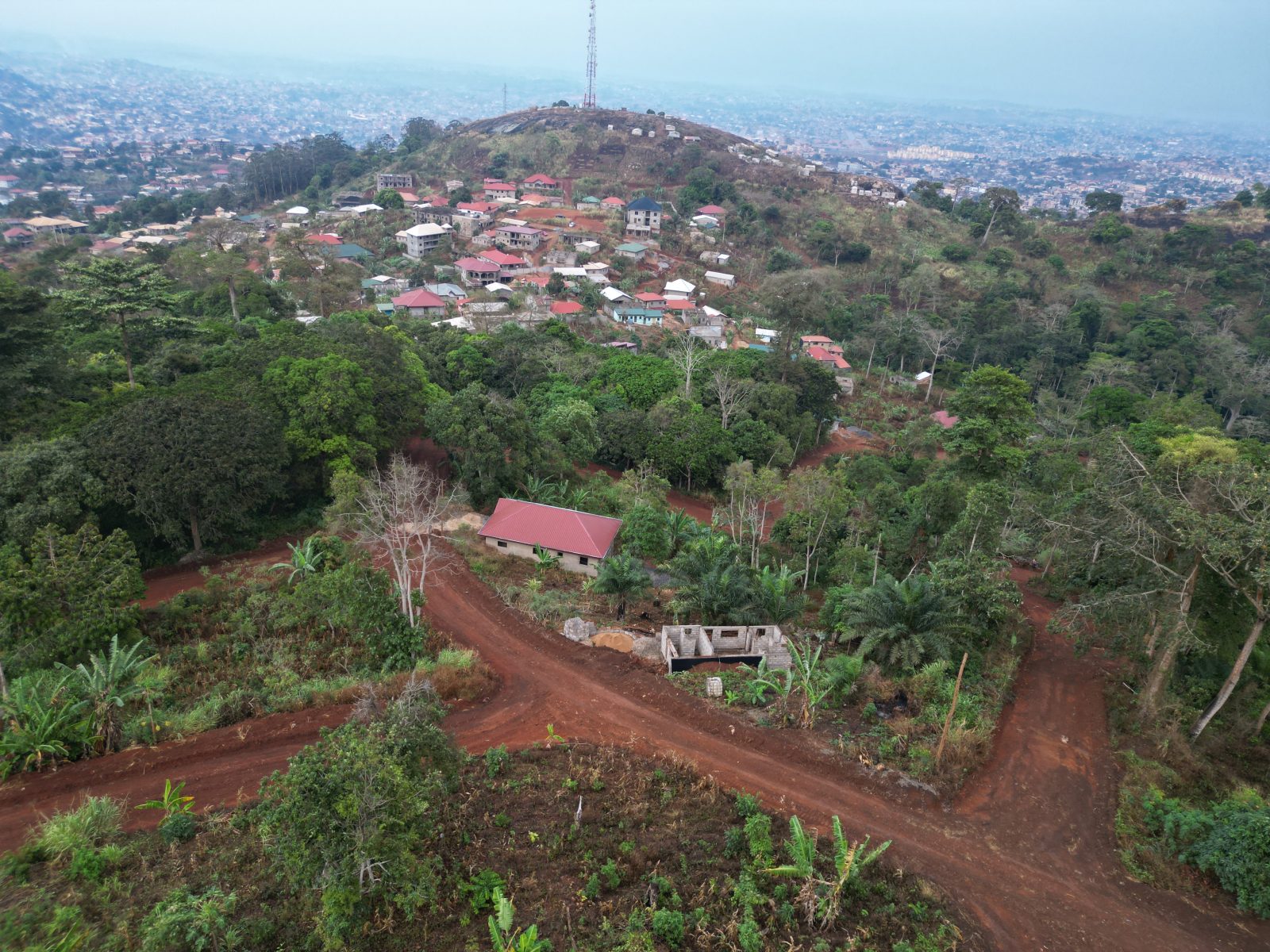 Photo du terrain