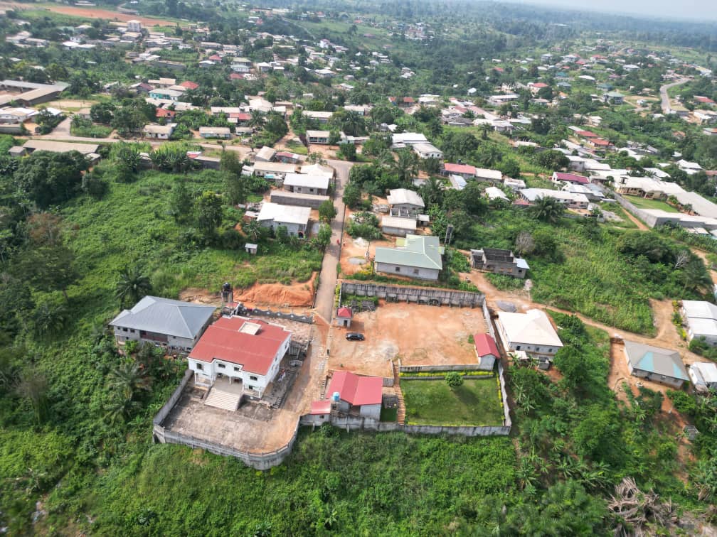 Photo du terrain