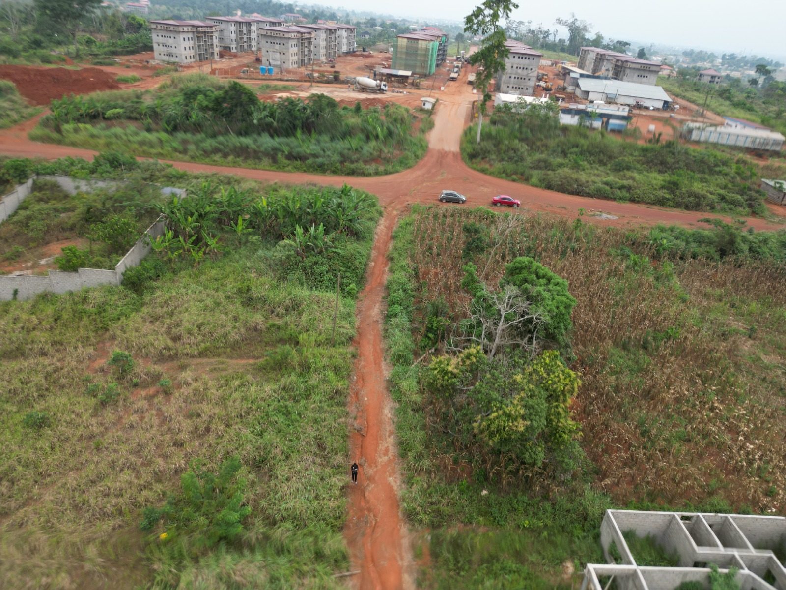 Photo du terrain