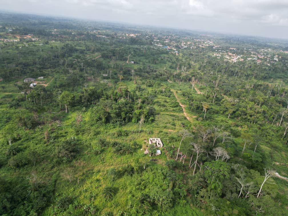 Photo du terrain