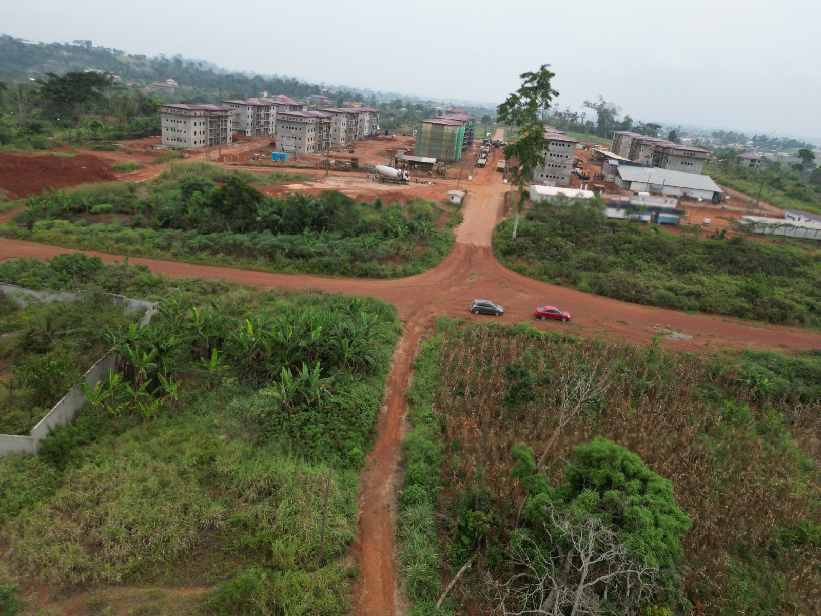 Photo du terrain