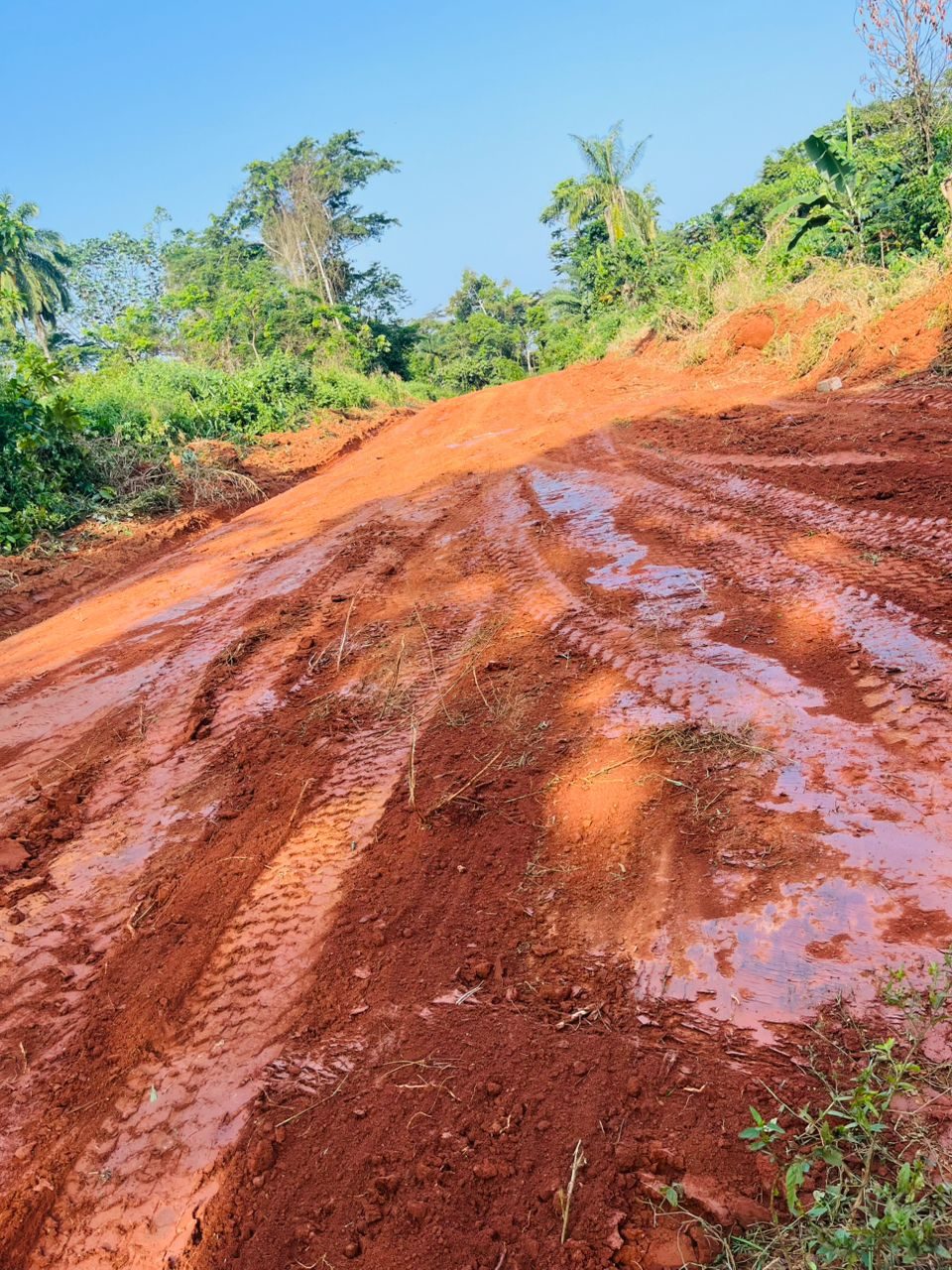 Photo du terrain